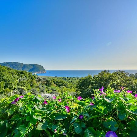 Pataki Studios Petrovac Екстериор снимка