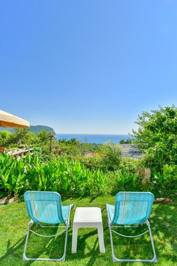 Pataki Studios Petrovac Екстериор снимка
