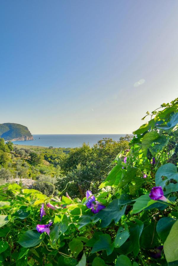 Pataki Studios Petrovac Екстериор снимка