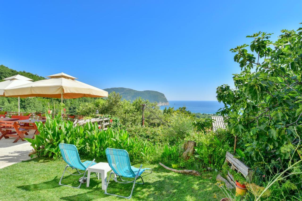 Pataki Studios Petrovac Екстериор снимка