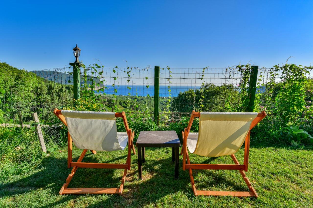 Pataki Studios Petrovac Екстериор снимка