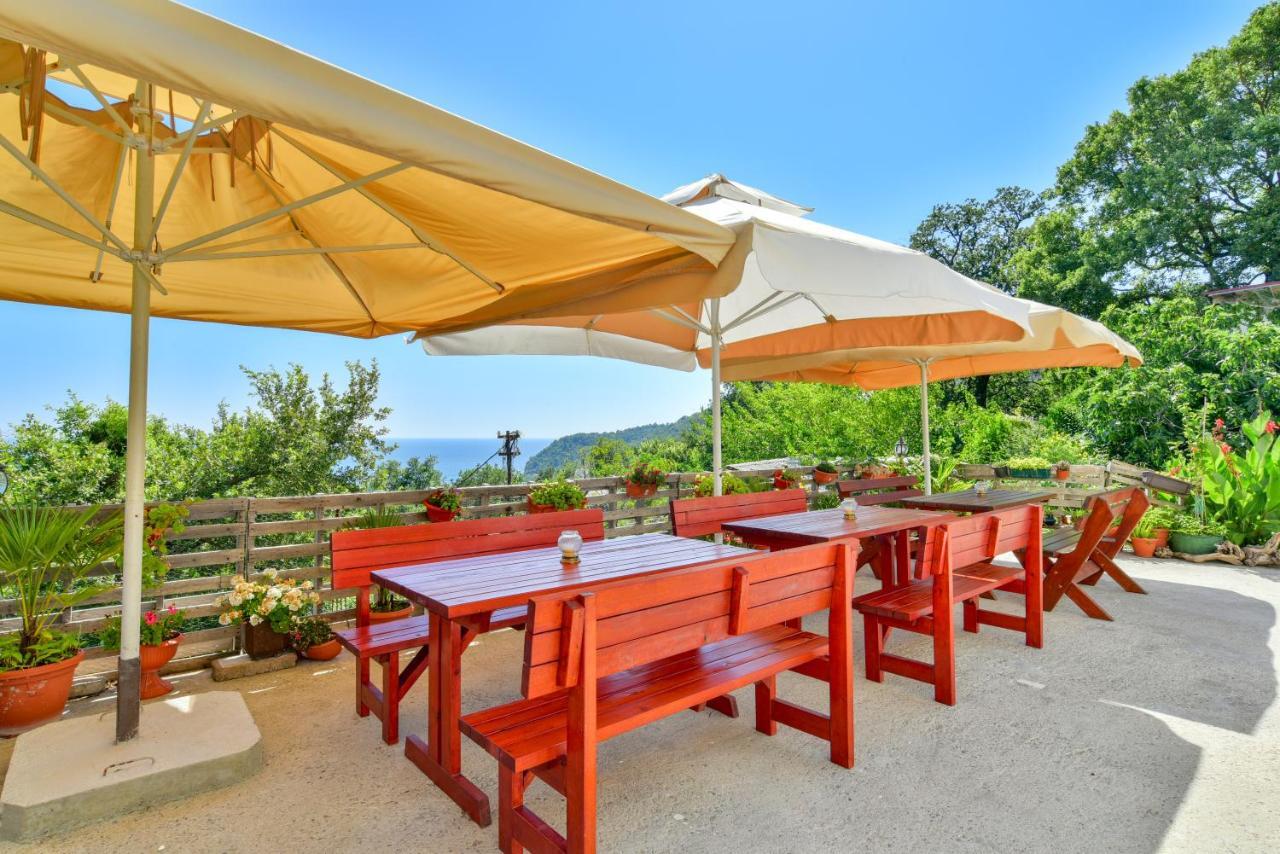 Pataki Studios Petrovac Екстериор снимка