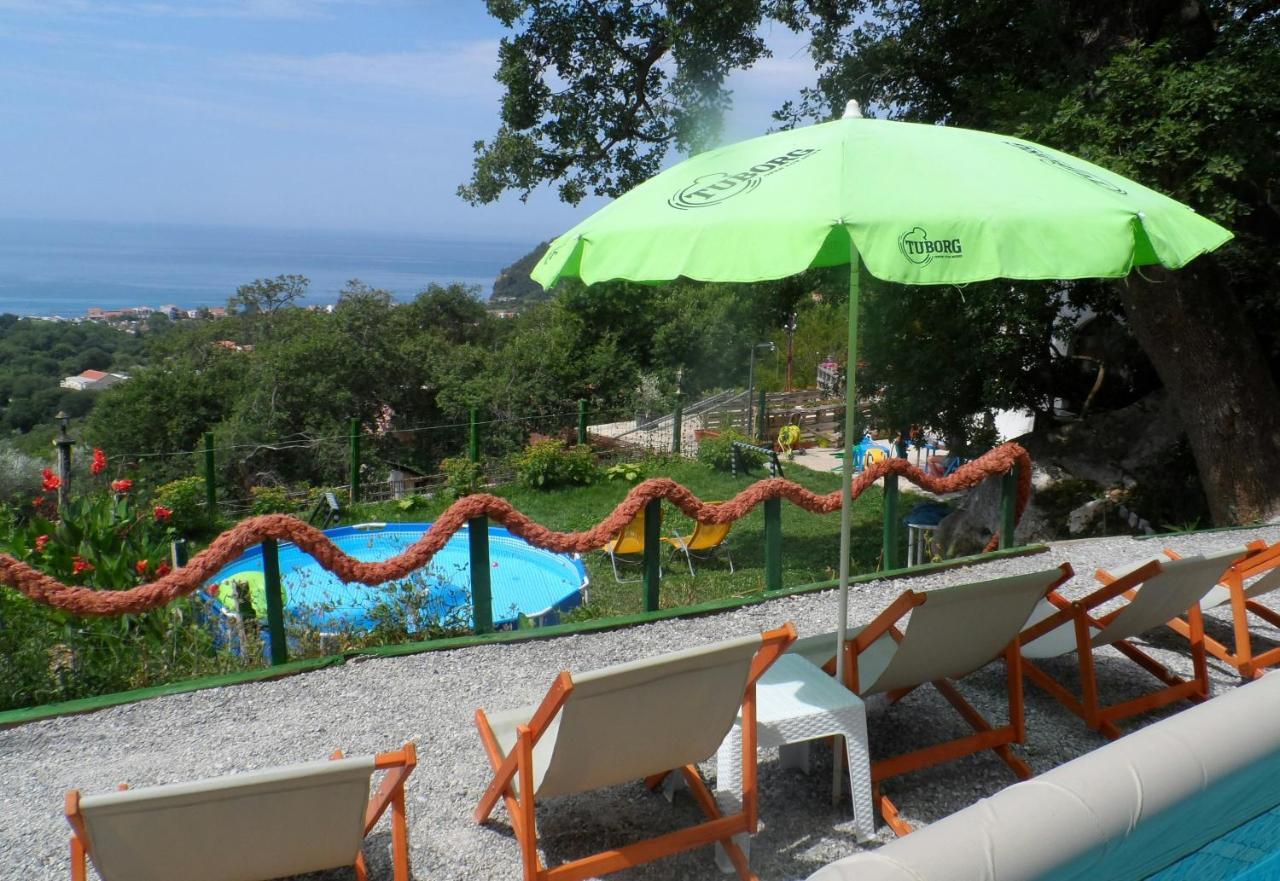 Pataki Studios Petrovac Екстериор снимка