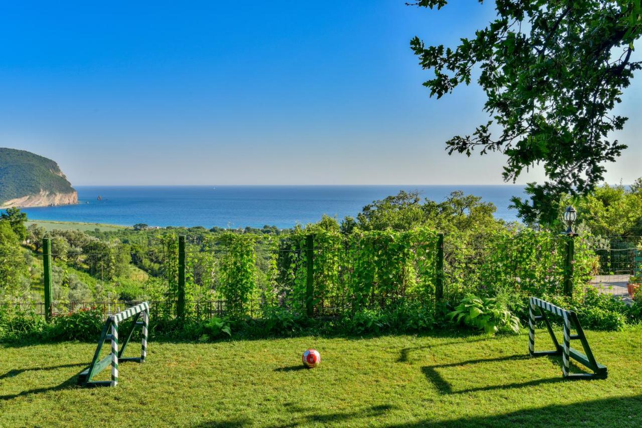 Pataki Studios Petrovac Екстериор снимка