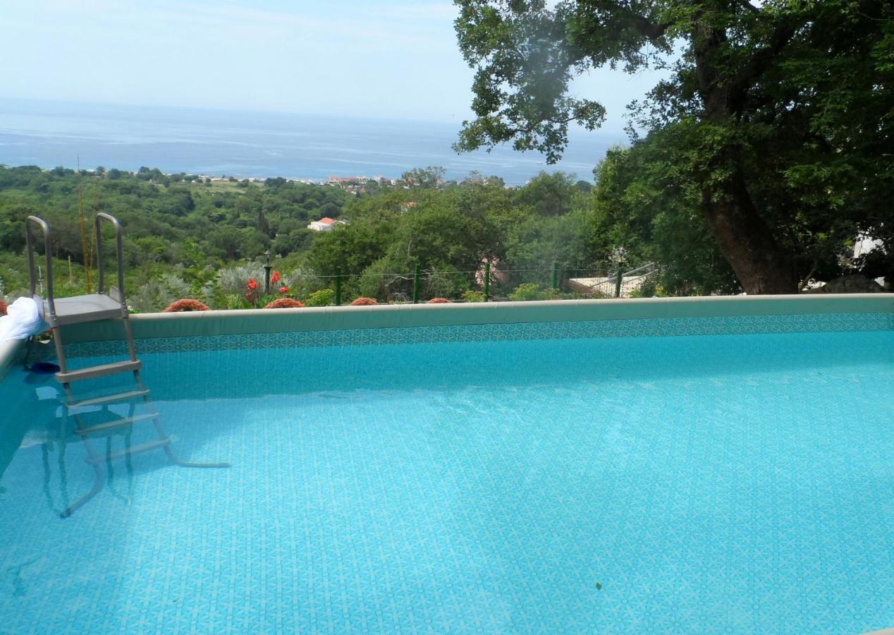 Pataki Studios Petrovac Екстериор снимка