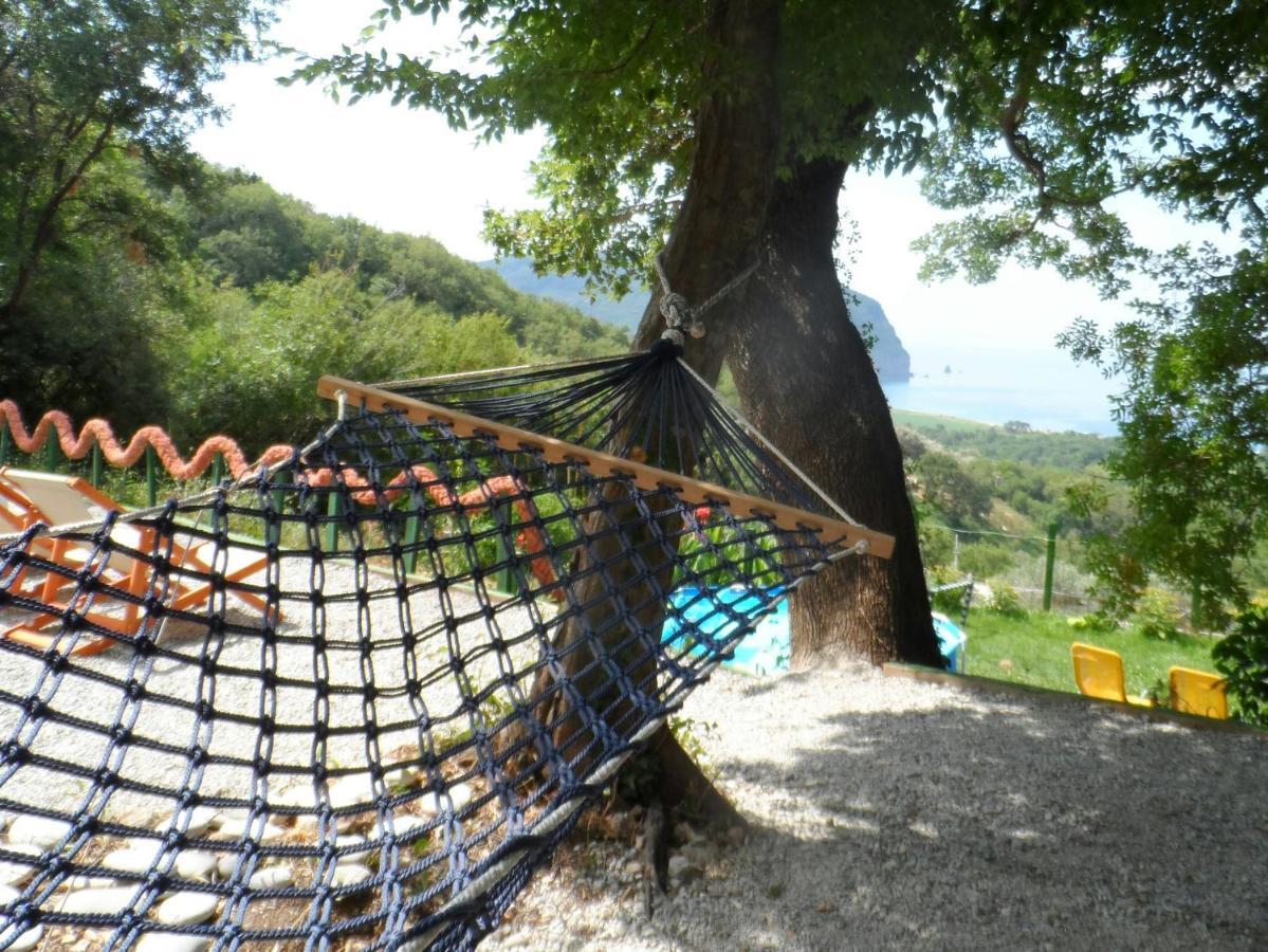 Pataki Studios Petrovac Екстериор снимка