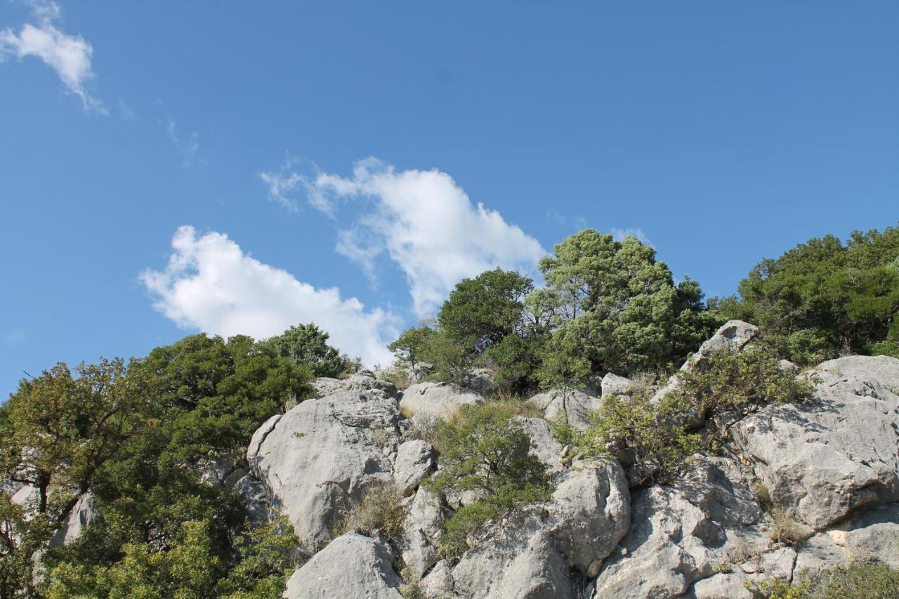 Pataki Studios Petrovac Екстериор снимка