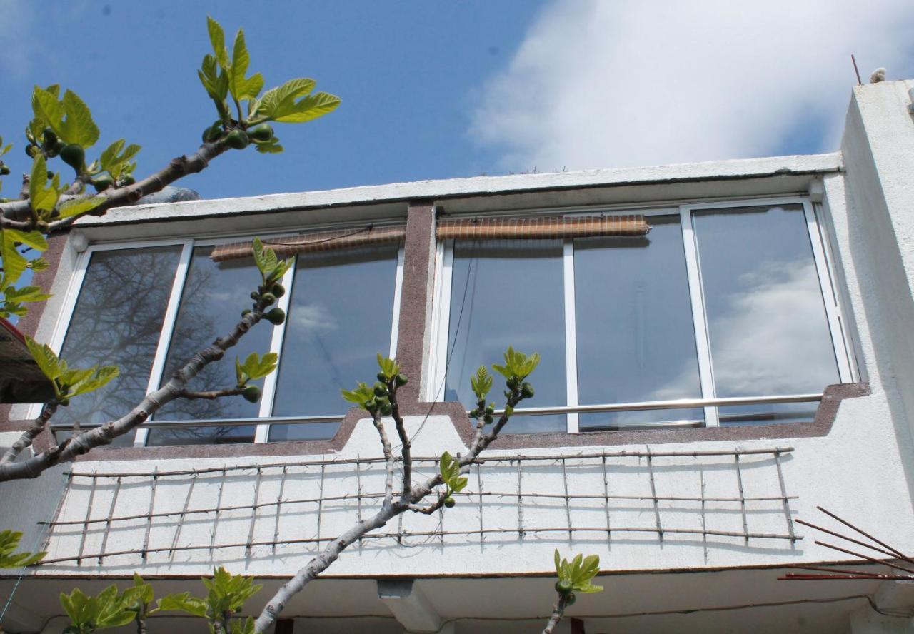 Pataki Studios Petrovac Екстериор снимка