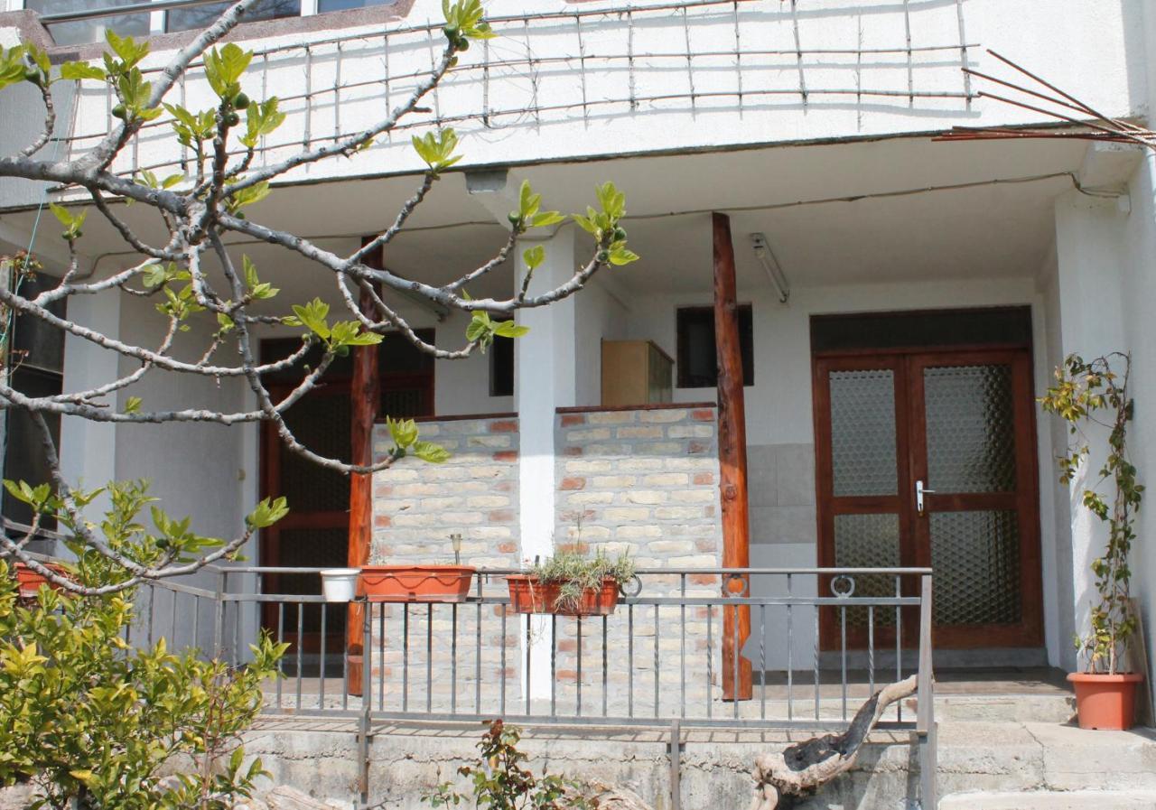 Pataki Studios Petrovac Екстериор снимка