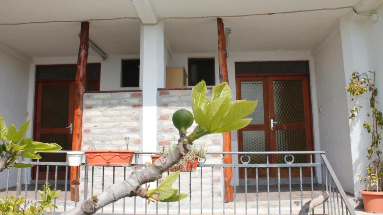 Pataki Studios Petrovac Екстериор снимка