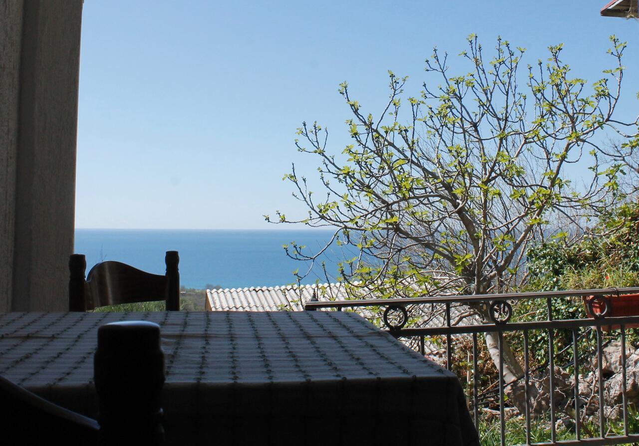 Pataki Studios Petrovac Екстериор снимка